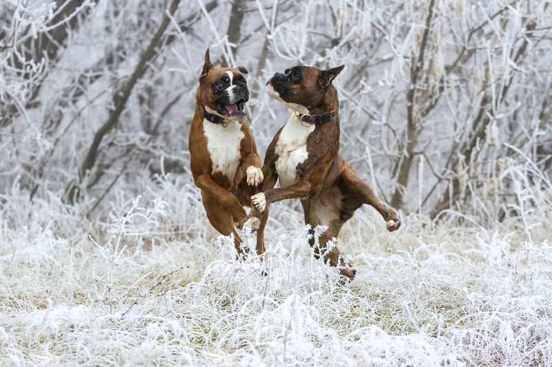 Ярослава, Ukraine