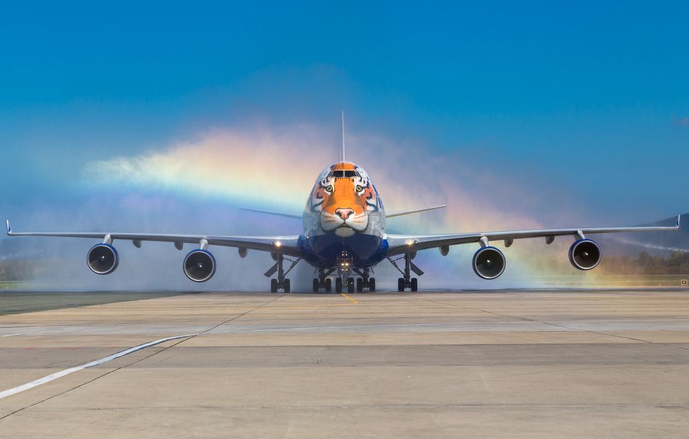 Тигриный "Боинг"  из "Трансаэро"