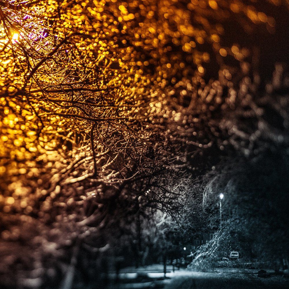 ледяной дождь