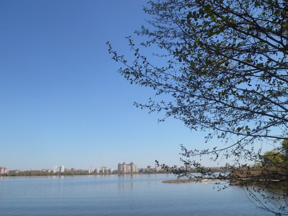 Море Воронежа