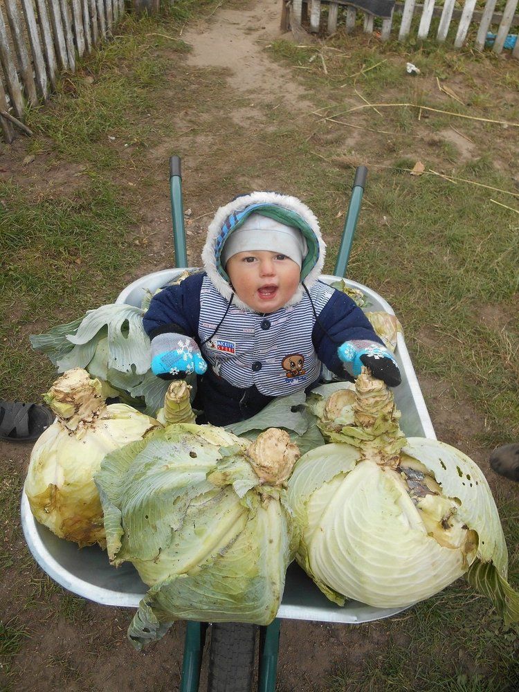 Смишулька