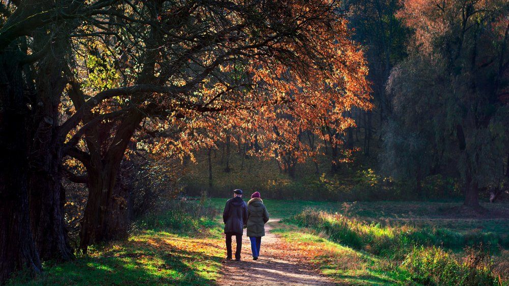В свете любви