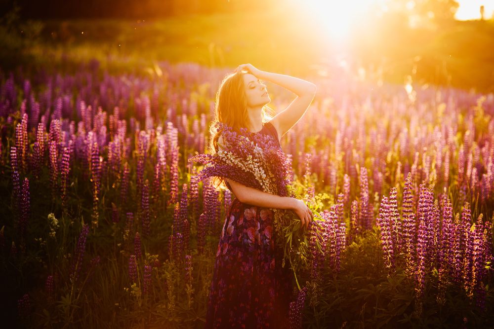 краски заката