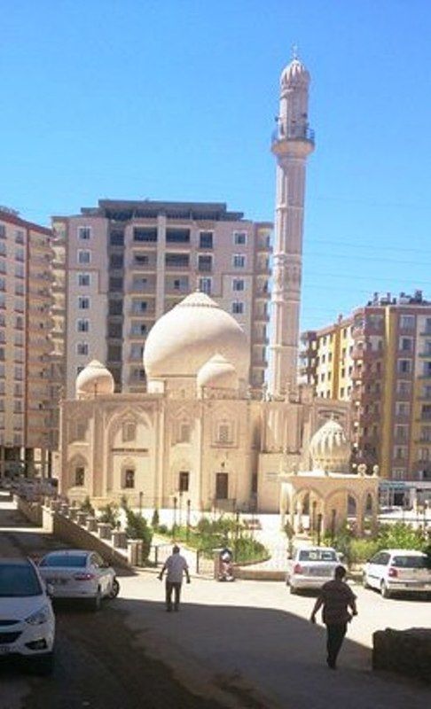 Волошина Оксана, Ukraine