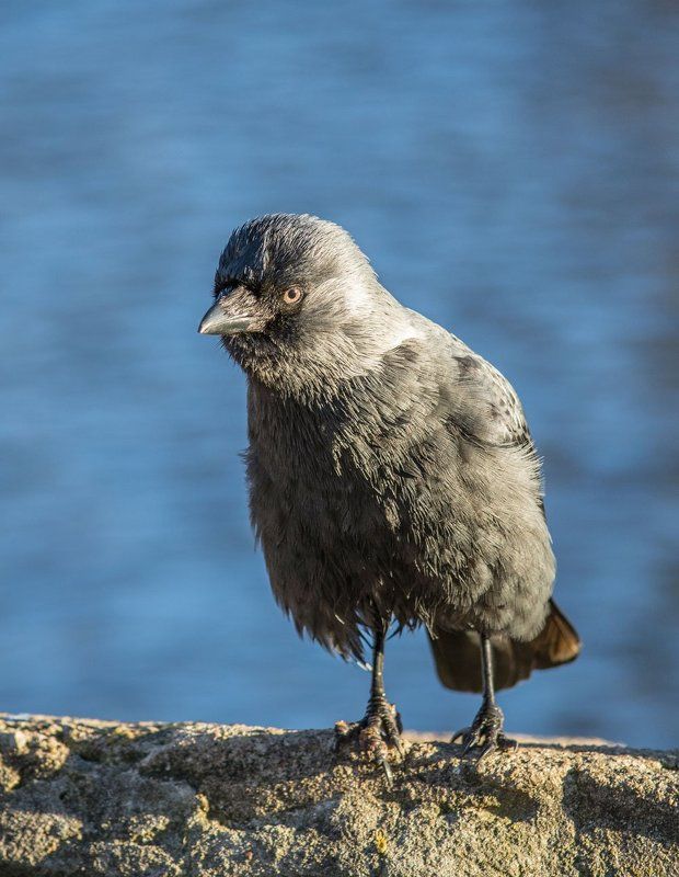 Tatyana Ogarkova, Belarus