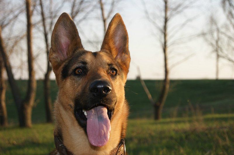 Светлана, Ukraine