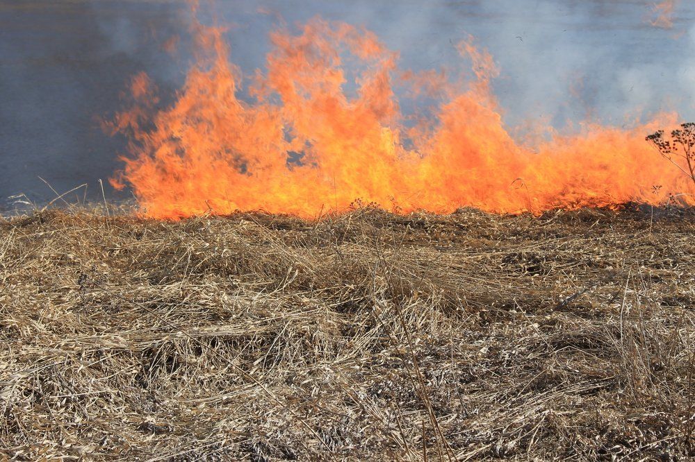 беспощадный огонь