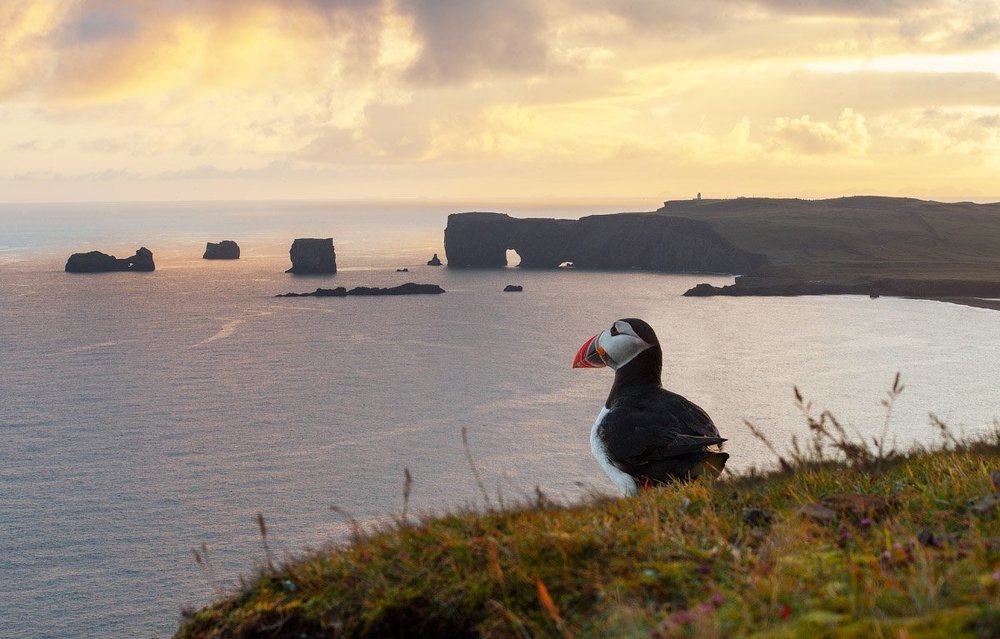 Властелин океана