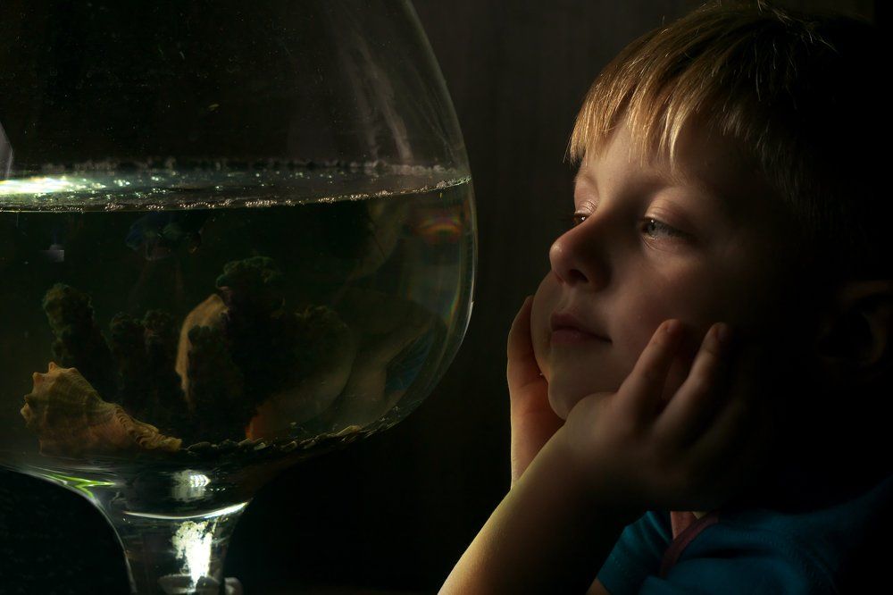 Где моя рыбка