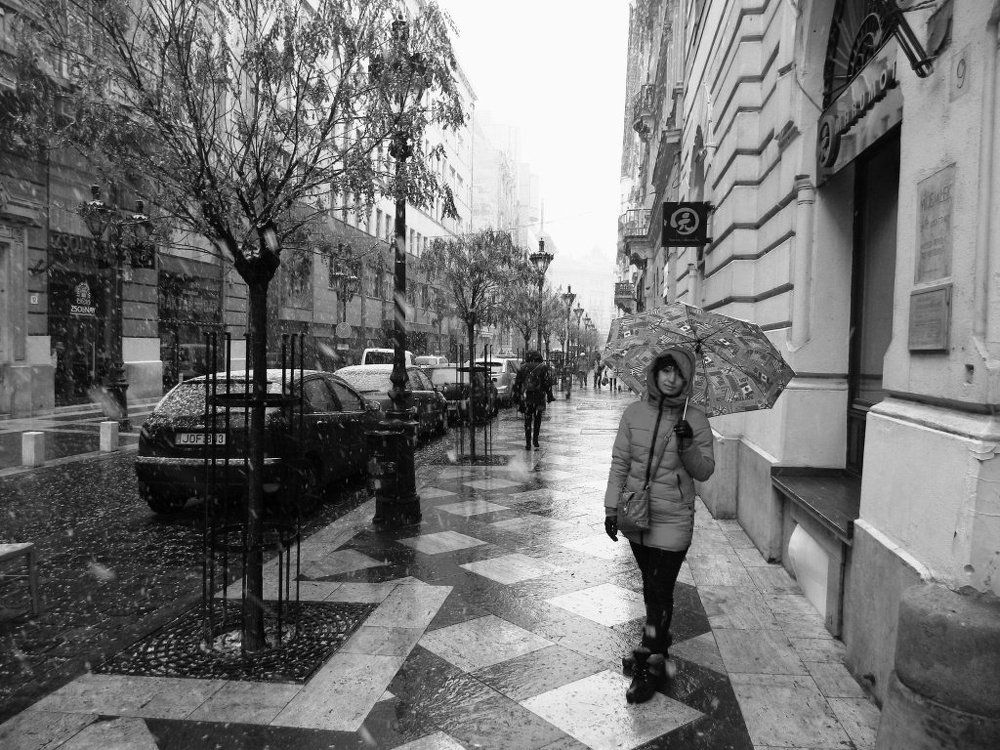 Первый снег