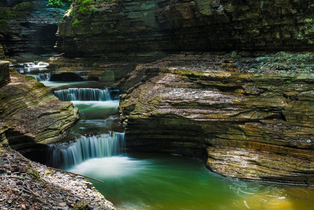 Оттенки зеленого