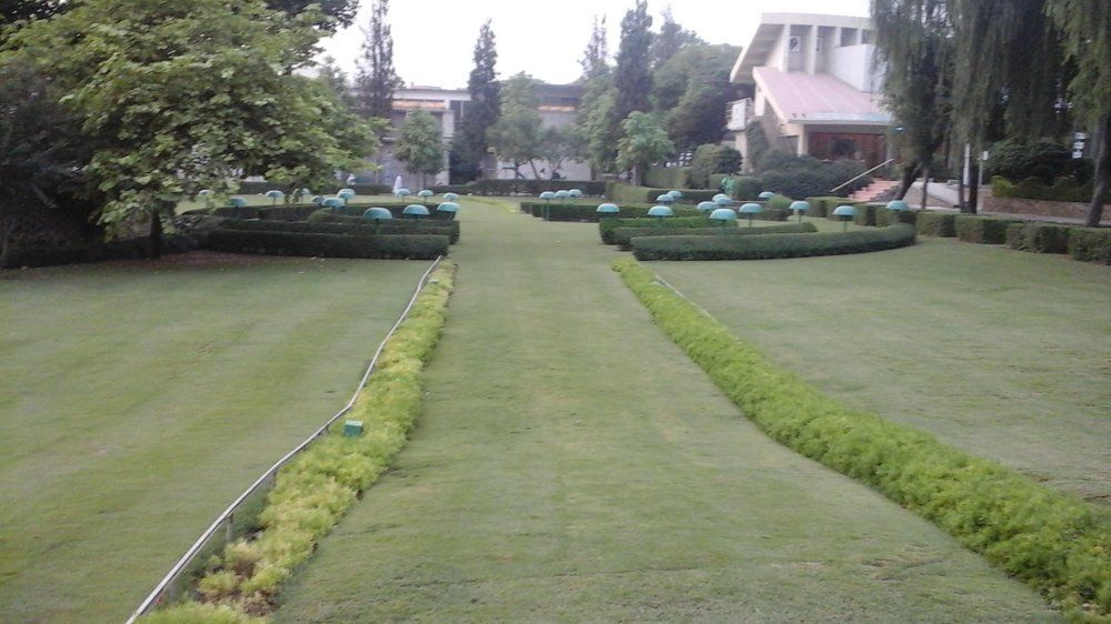 A Grand Path with Nature