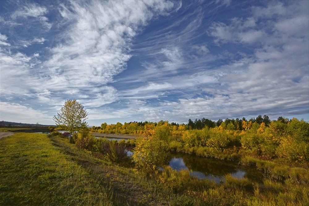 Взгляд на небо.