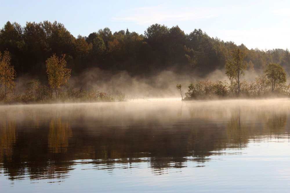 Утро туманное.