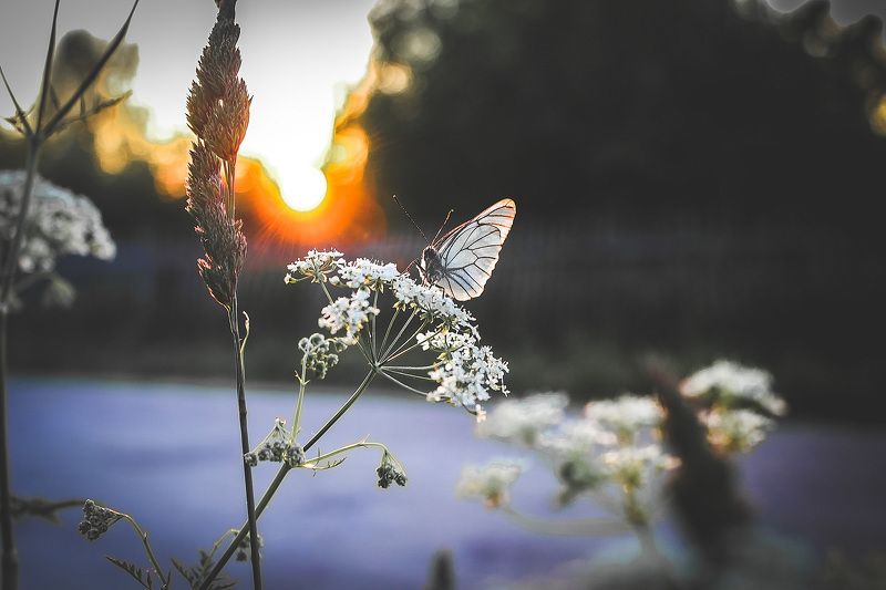Татьяна, Russia