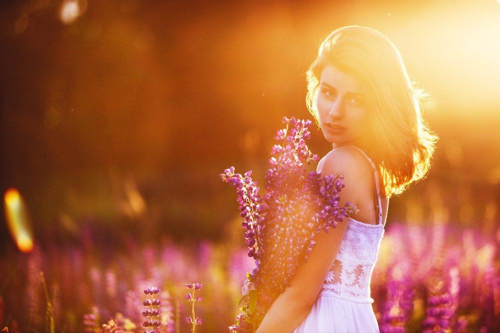 люпиновое поле