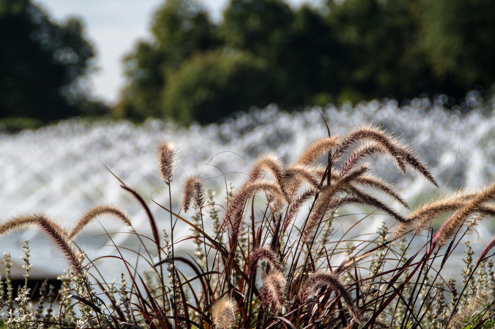Фонтан в парке