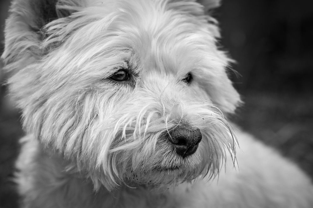 Photograph by Дарья Слонова