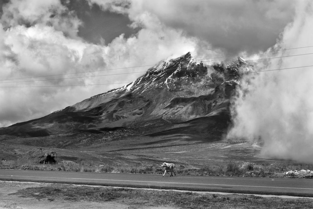 Photograph by Andrés Valencia