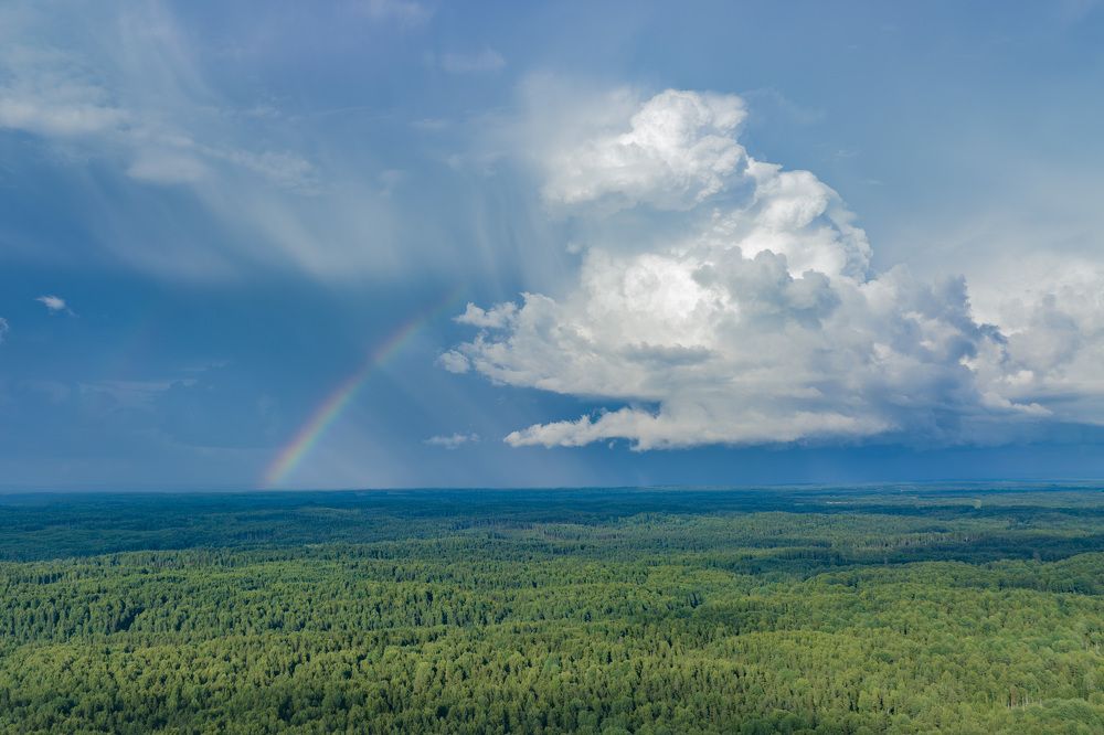 Photograph by Максим Григорьев