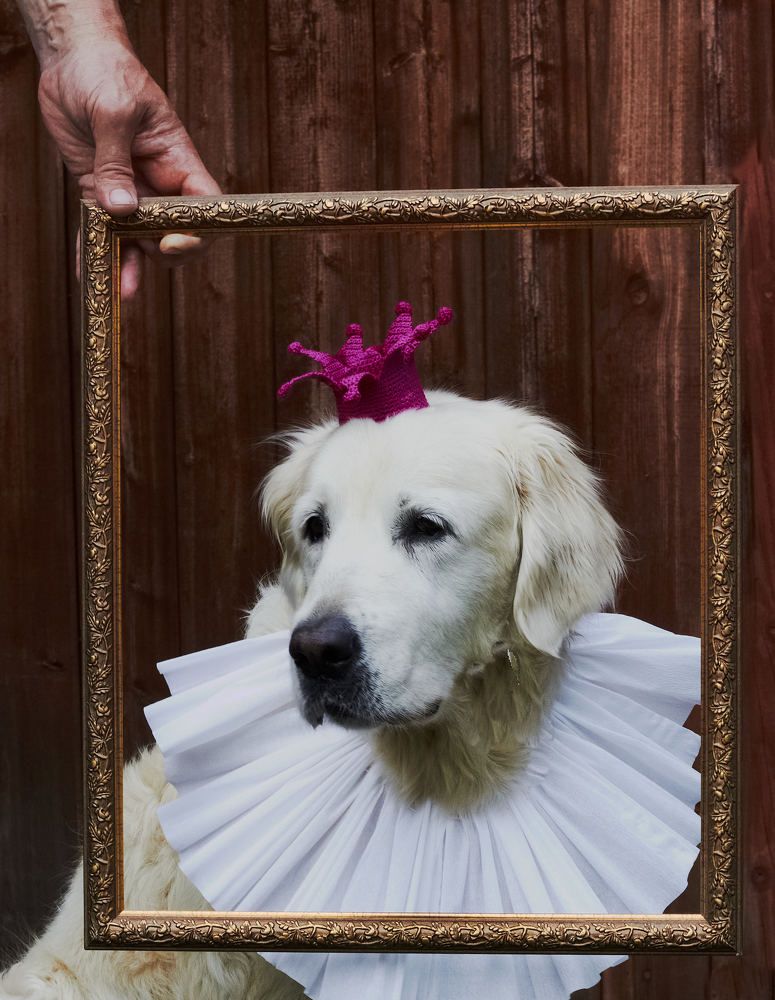 Photograph by Елена Глуховкина