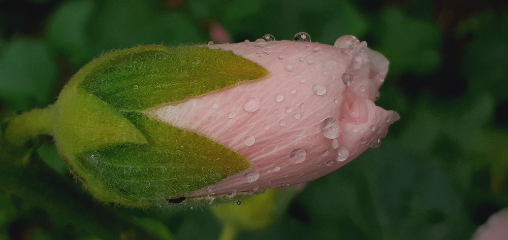 Photograph by Евгения Ульянова