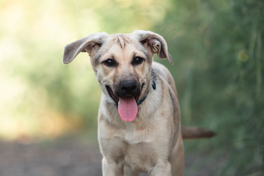 Photograph by Natasha Stugireva