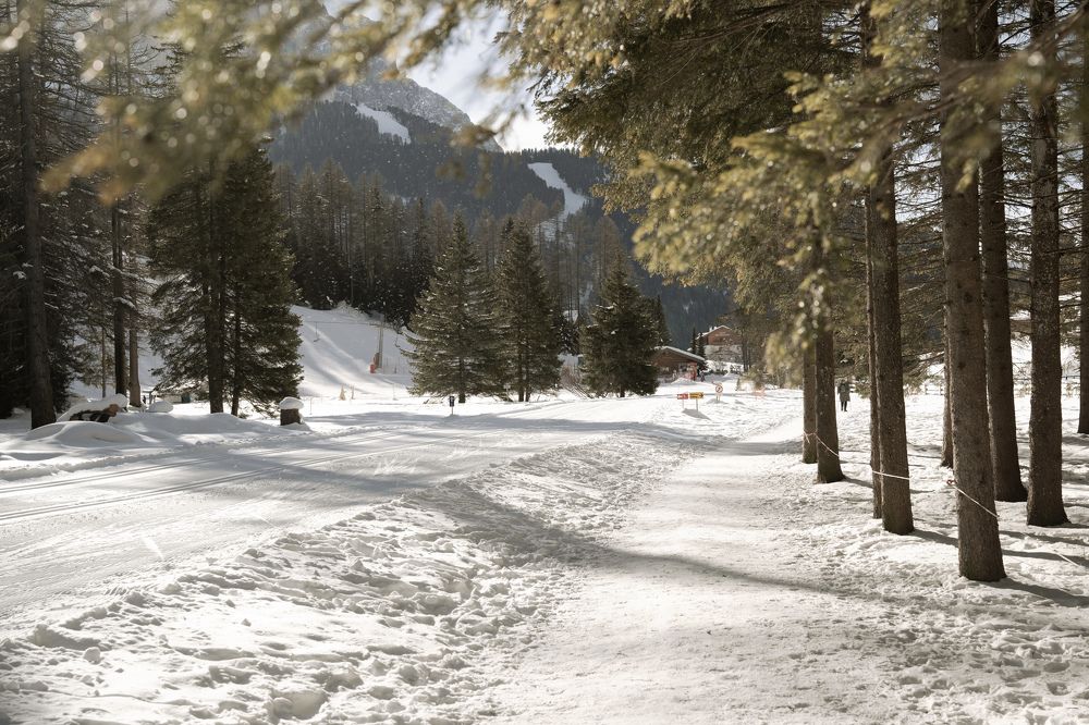 Photograph by Дарья Радонежская