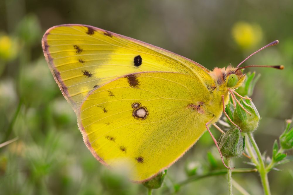 Photograph by Ольга Таланцева