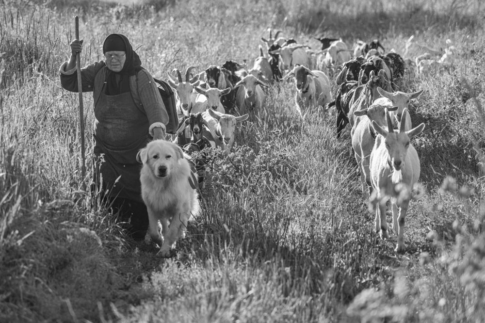 Фотография автора Виталий Подгурченко