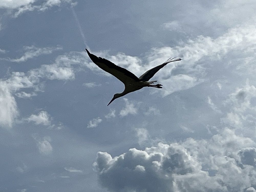 Photograph by Болдырева Ольга