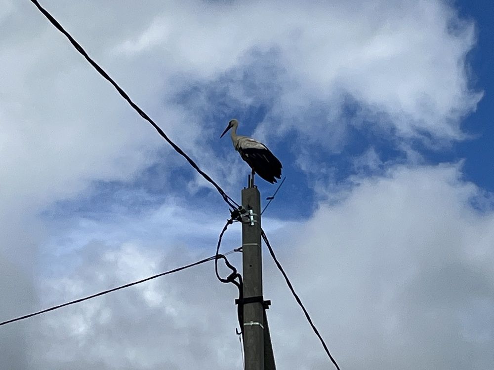 Photograph by Болдырева Ольга