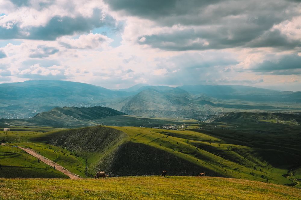 Photograph by Алексей Голубев