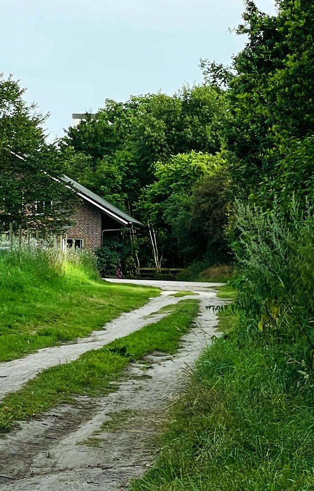 Фотография автора Raisa Sel