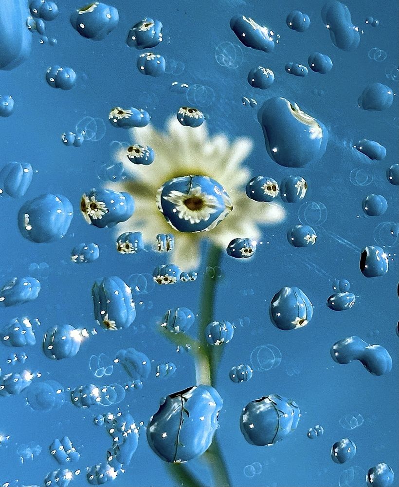 Photograph by Гуляева Светлана