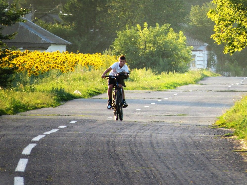 Photograph by Лариса Басова