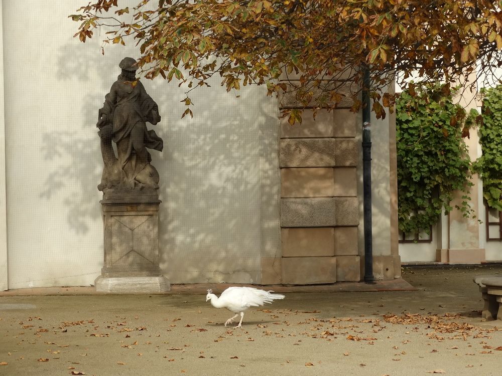 Photograph by Мила Милая