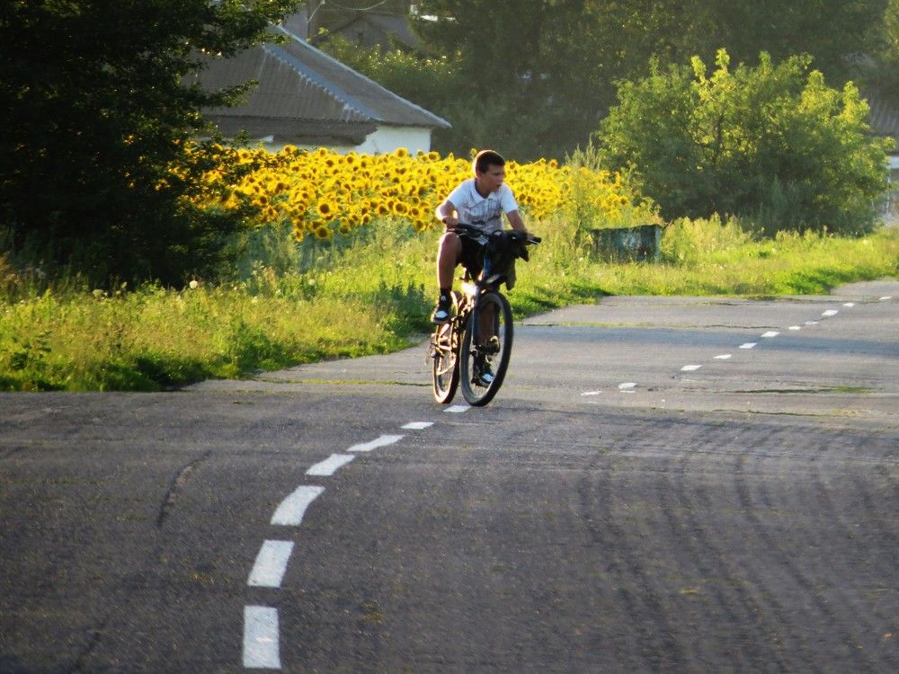 Photograph by Лариса Басова
