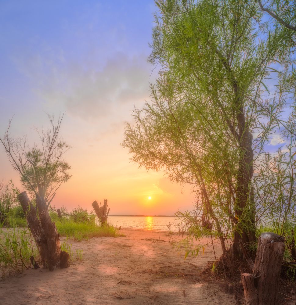 Photograph by Новиков Александр