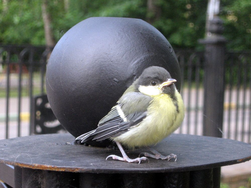 Photograph by Надежда Пухова