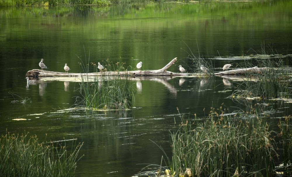 Photograph by Alexandra Chalova