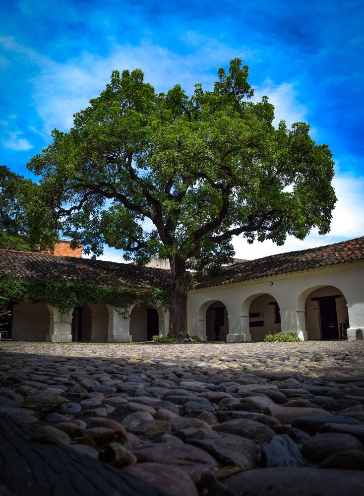 Photograph by Itati del Castillo