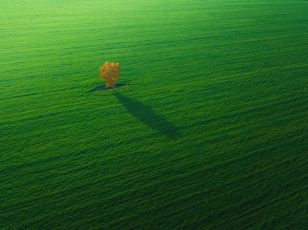 Photograph by Брытков Николай