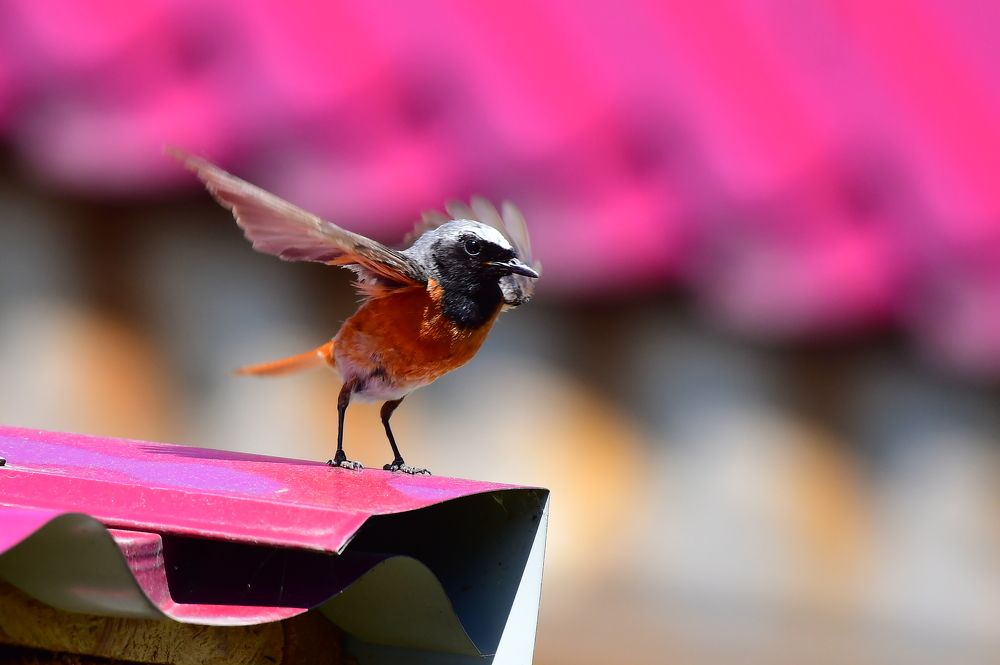 Photograph by Николай Абакумов