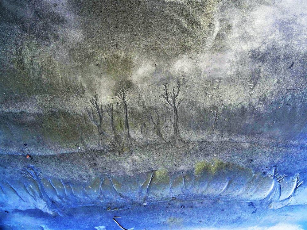 landscaping by nature