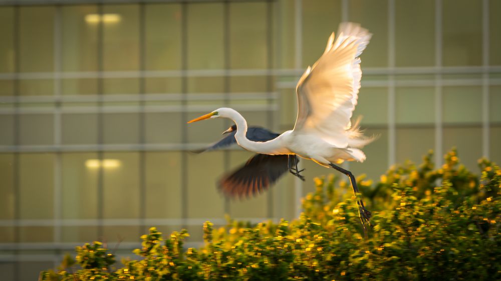 Photograph by Christabel Way