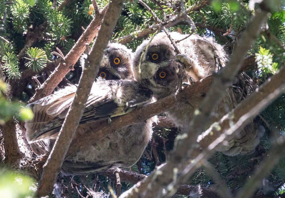 Photograph by Дмитрий Макинский