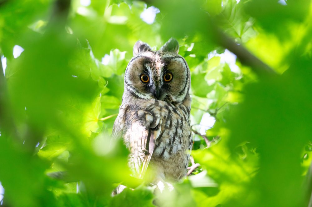 Photograph by Дмитрий Макинский