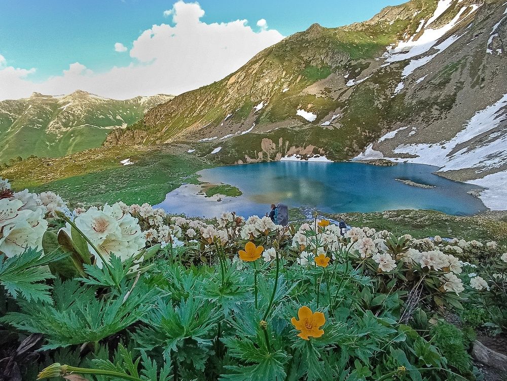 Photograph by Елена Кузнецова