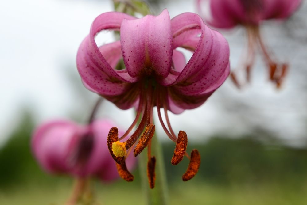 Photograph by Kirill Frolov